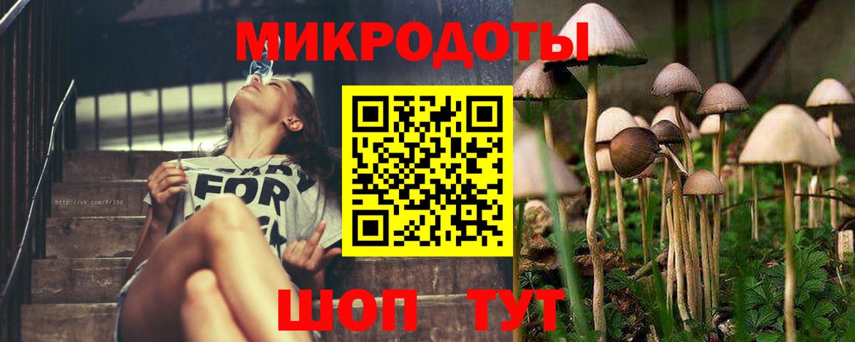 Галлюциногенные грибы мицелий  Псилоцибиновые грибы Magic Shrooms  Чайковский  Вход с VPN 